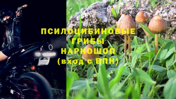 дурь Сосновый Бор