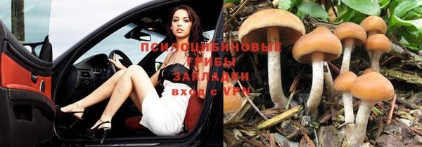 apvp Сосновоборск