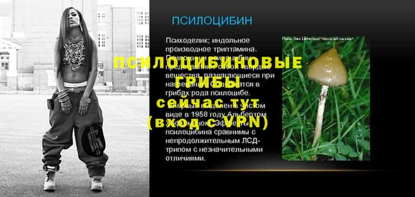 apvp Сосновоборск