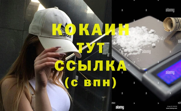 apvp Сосновоборск