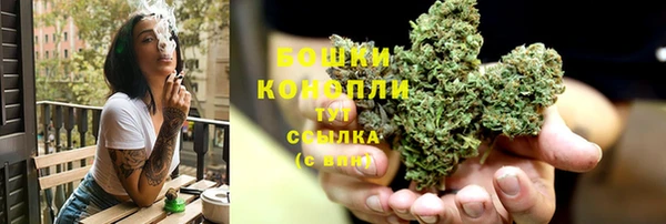 дурь Сосновый Бор