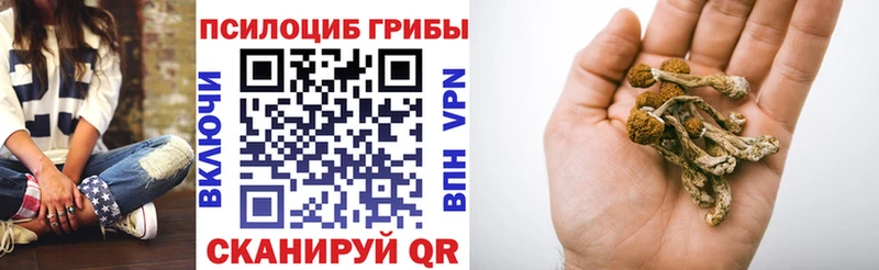 Псилоцибиновые грибы ЛСД  Купить  Нязепетровск 